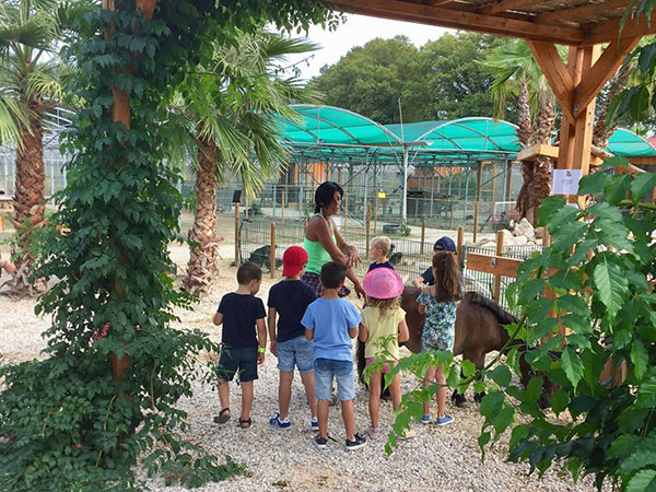 pedagogie-1 pedagogie-1