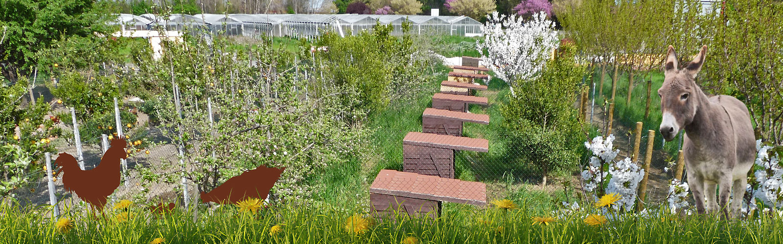 aux saveurs paysannes 2