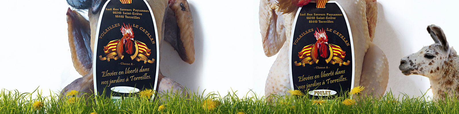 points de ventes dans les Pyrénées Orientales