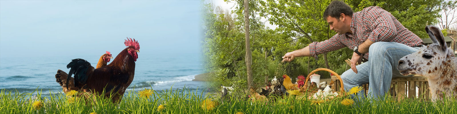 contact aux saveurs paysannes