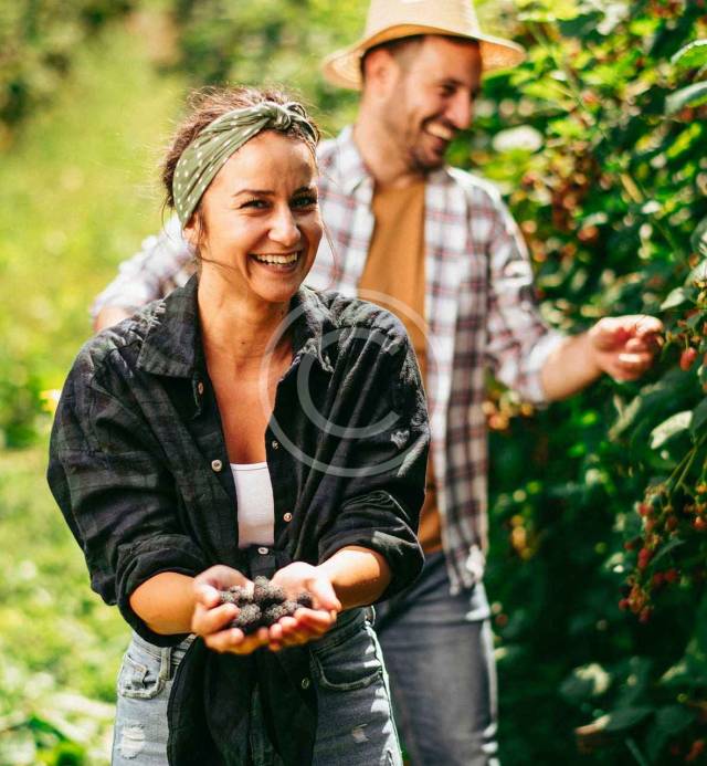 post14-new-copyright